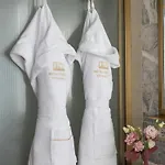 Hotel Gabrielli - Starhotels Collezione Venise